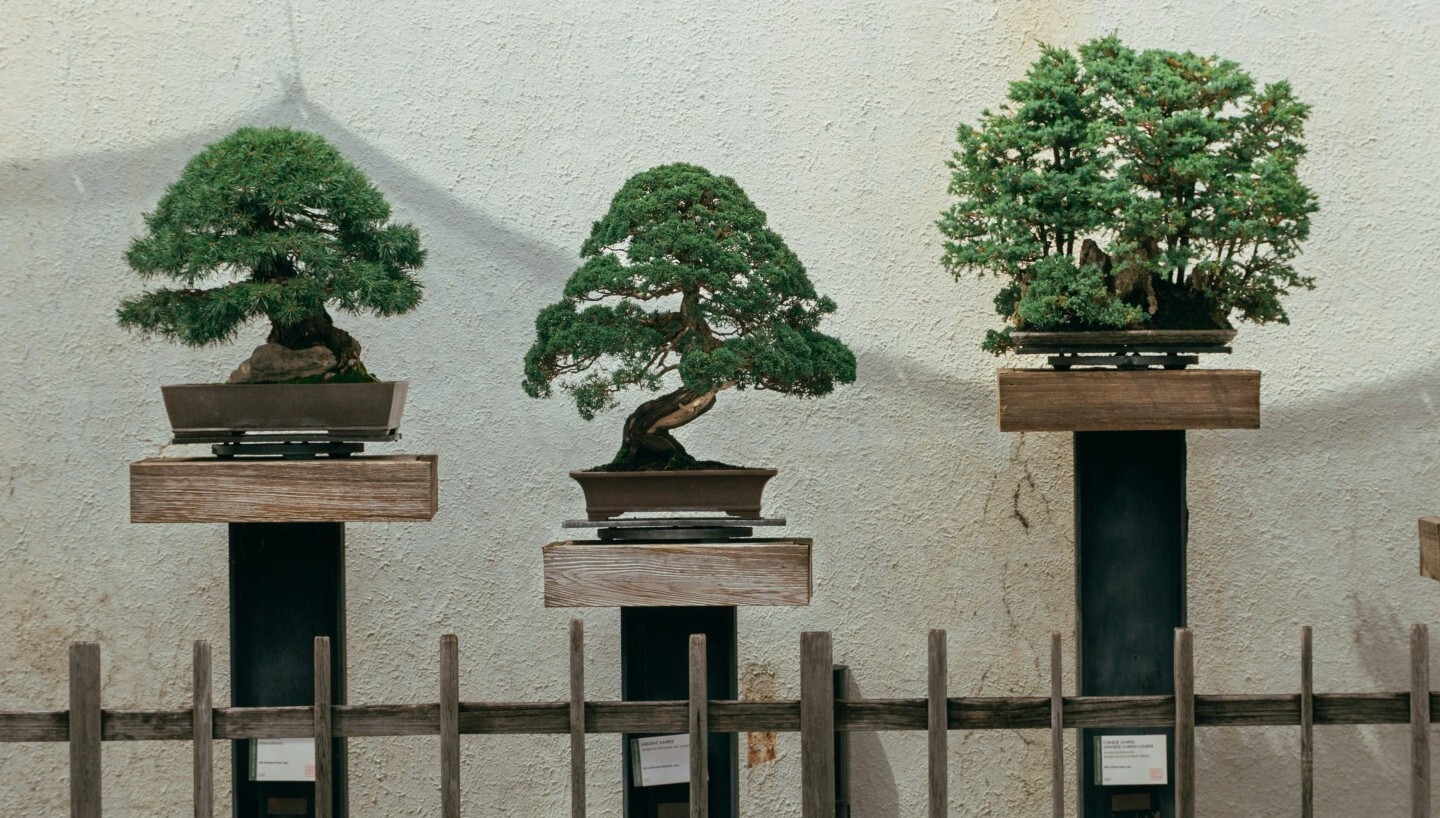 connor-gan-8S56ISHxpak-unsplash555 (2)-1